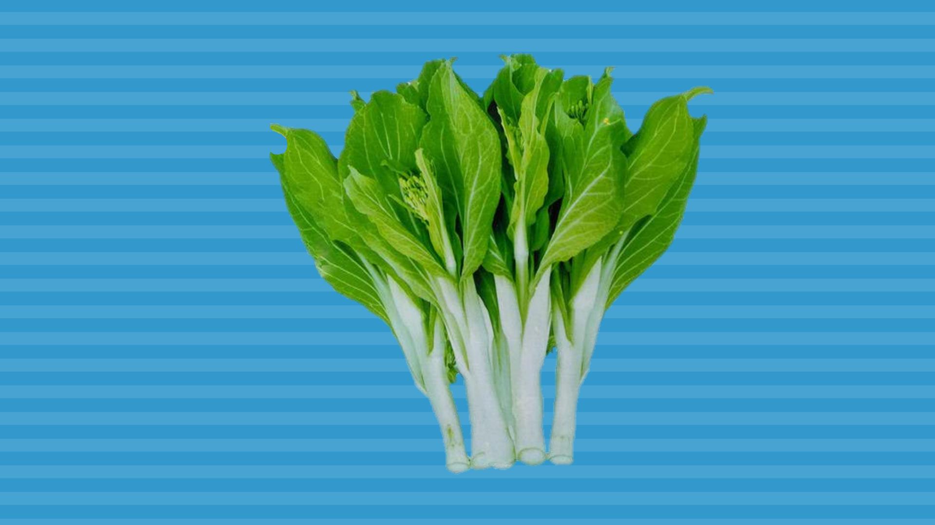 一分钟了解白菜苔