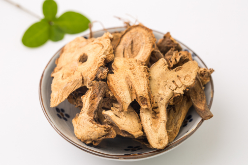 苎麻（荨麻科苎麻属植物）_百度百科