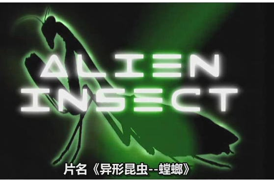  p>《异形昆虫-螳螂》(alien insect:praying mantis)是一部美国纪录