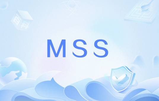 MSS（通信与网络术语）_百度百科