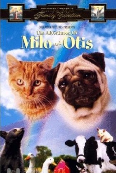 子猫物语 全网资源