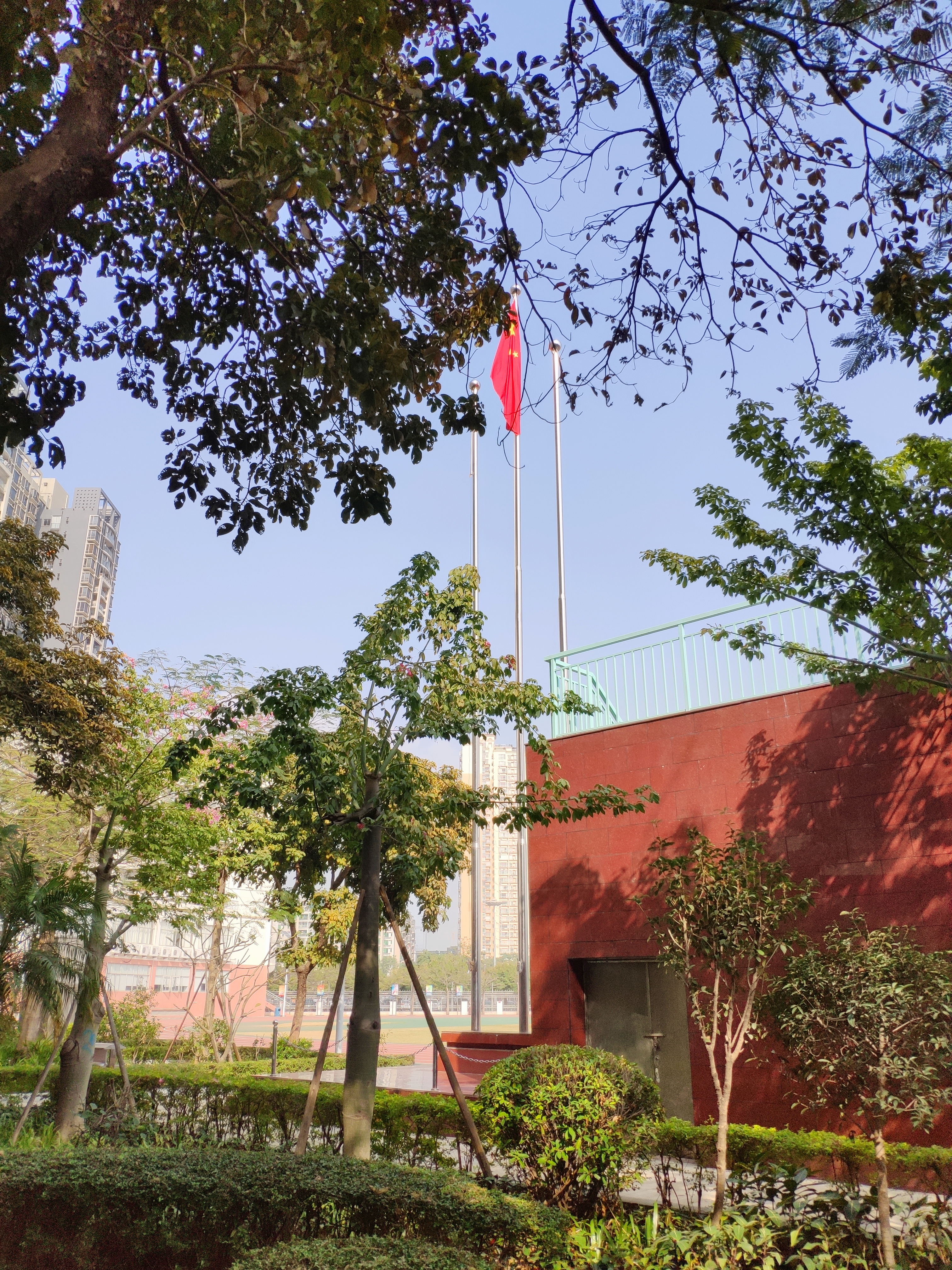 宝安区实验学校