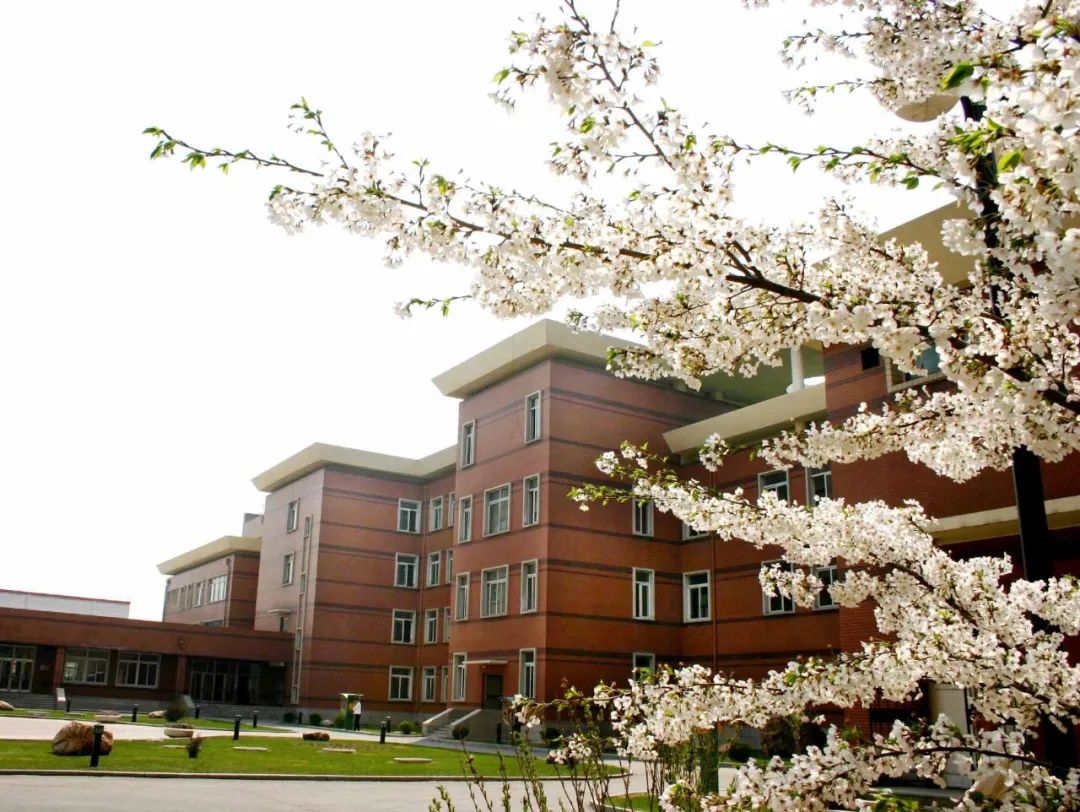 东北育才外国语学校