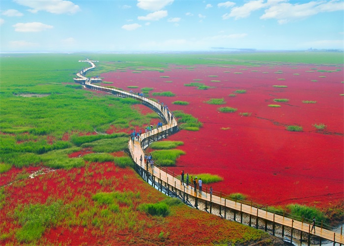  p>红海滩国家风景廊道是国家5a级景区,辽宁省优秀旅游景区.