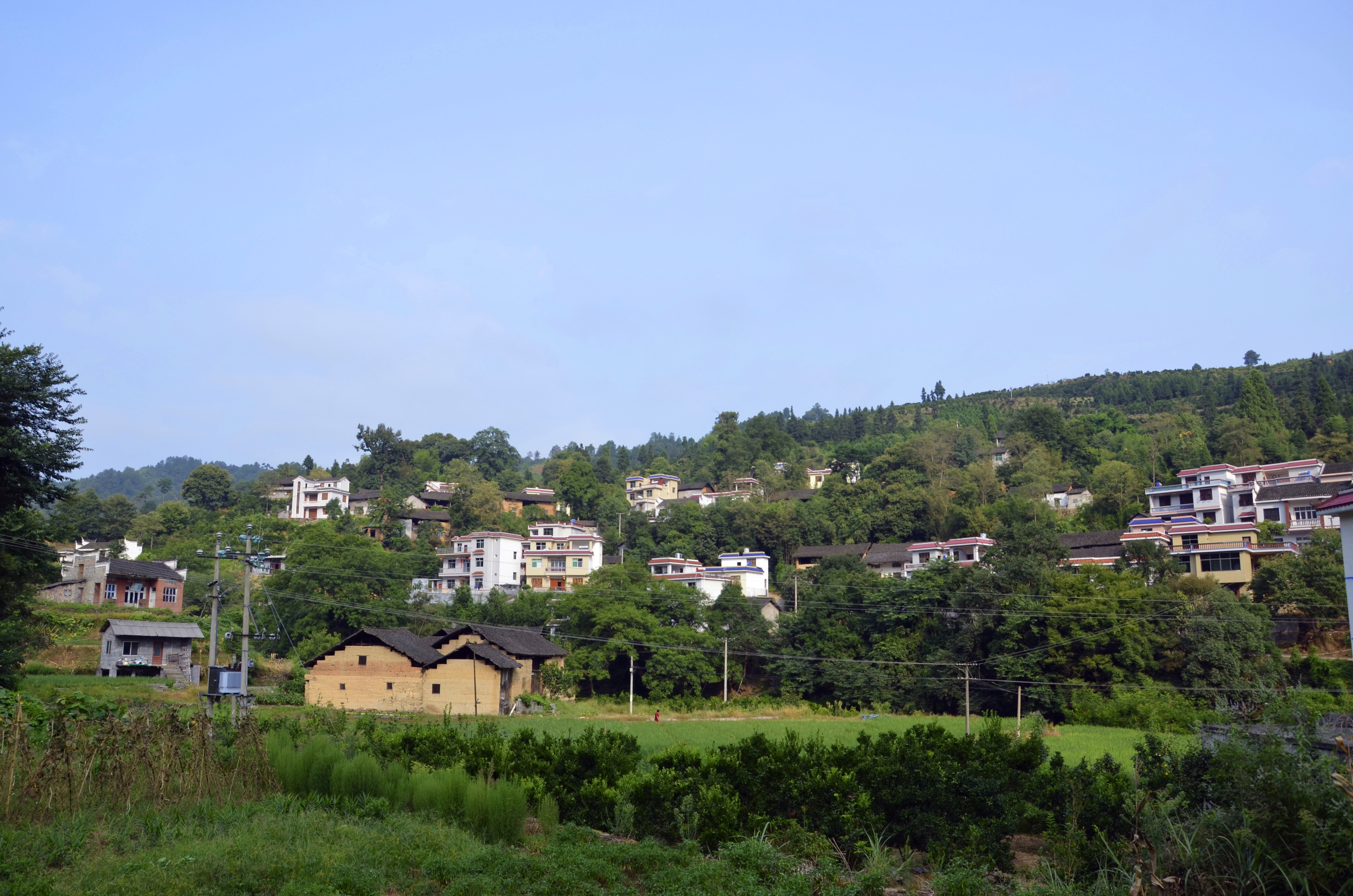 凤凰县水打田乡