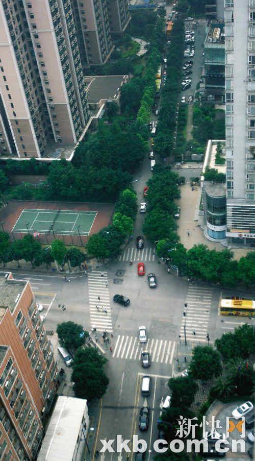 林乐路是一条位于广州市<a target="