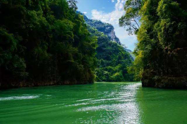 冷水河森林公园