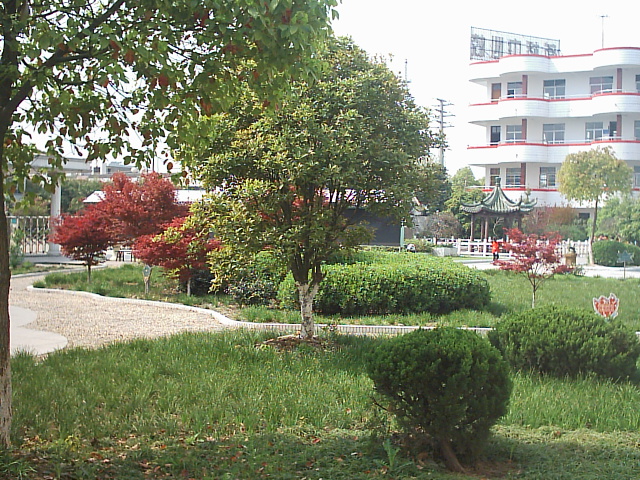 丹阳市新桥中心小学