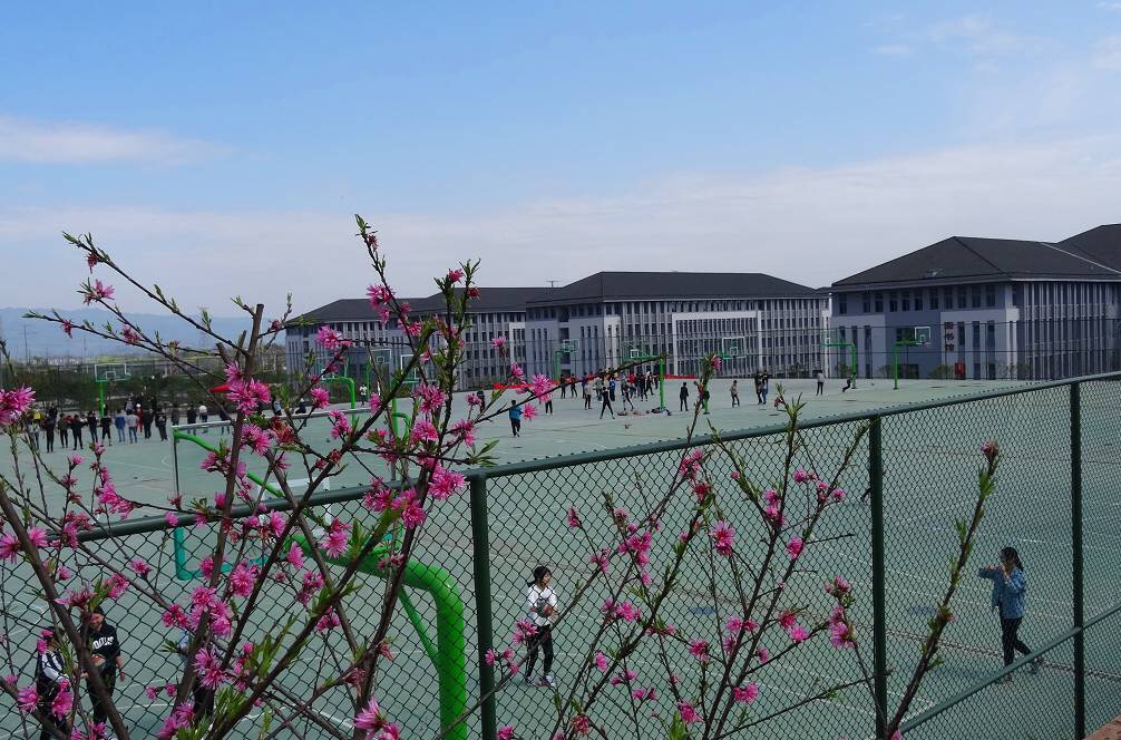  p>重庆化工职业学院创建于1964年,是经 a target="_blank" href="