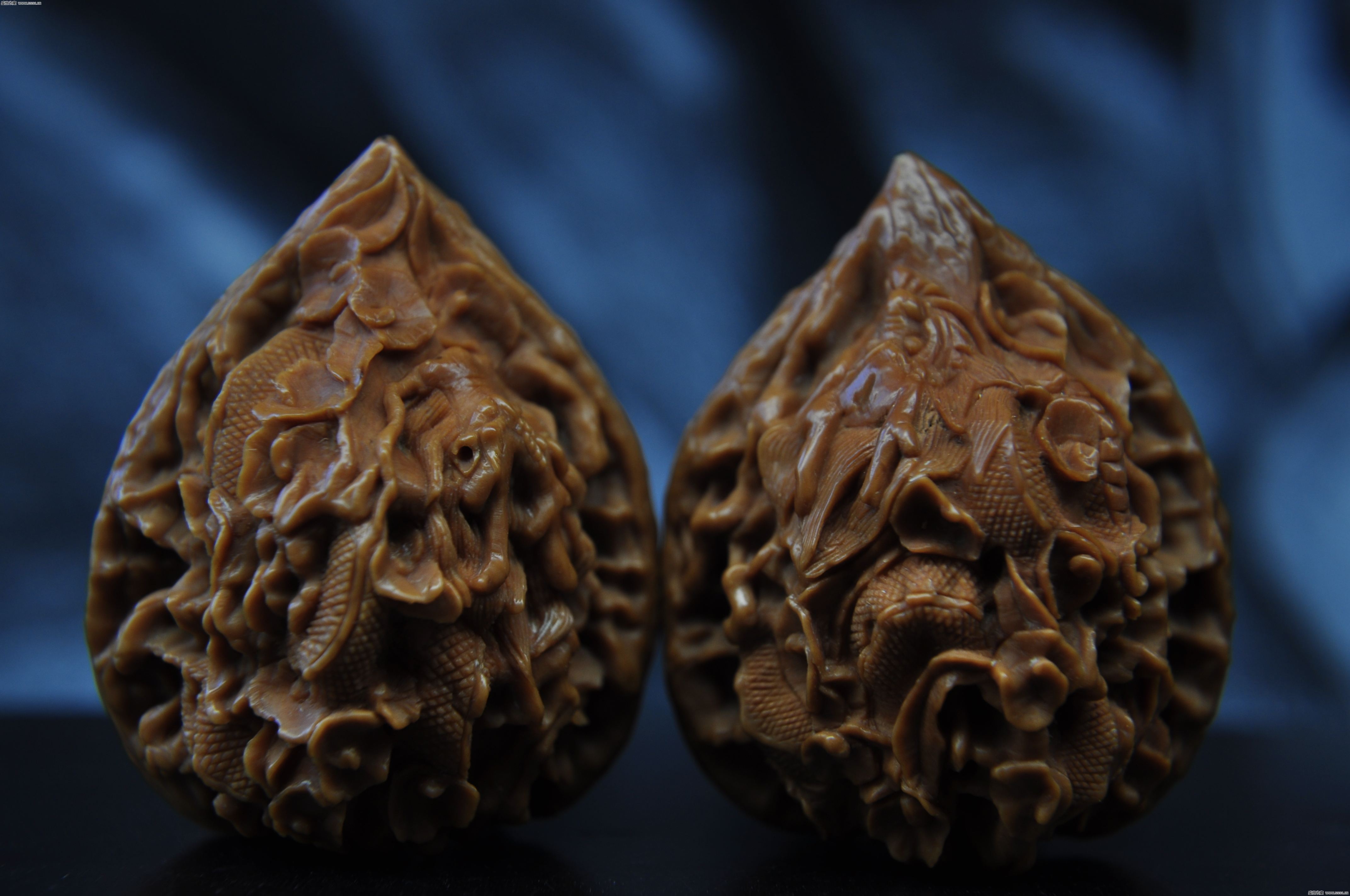  p>涞水麻核桃(野三坡麻核桃),河北省 a href="#" data-lemmaid="