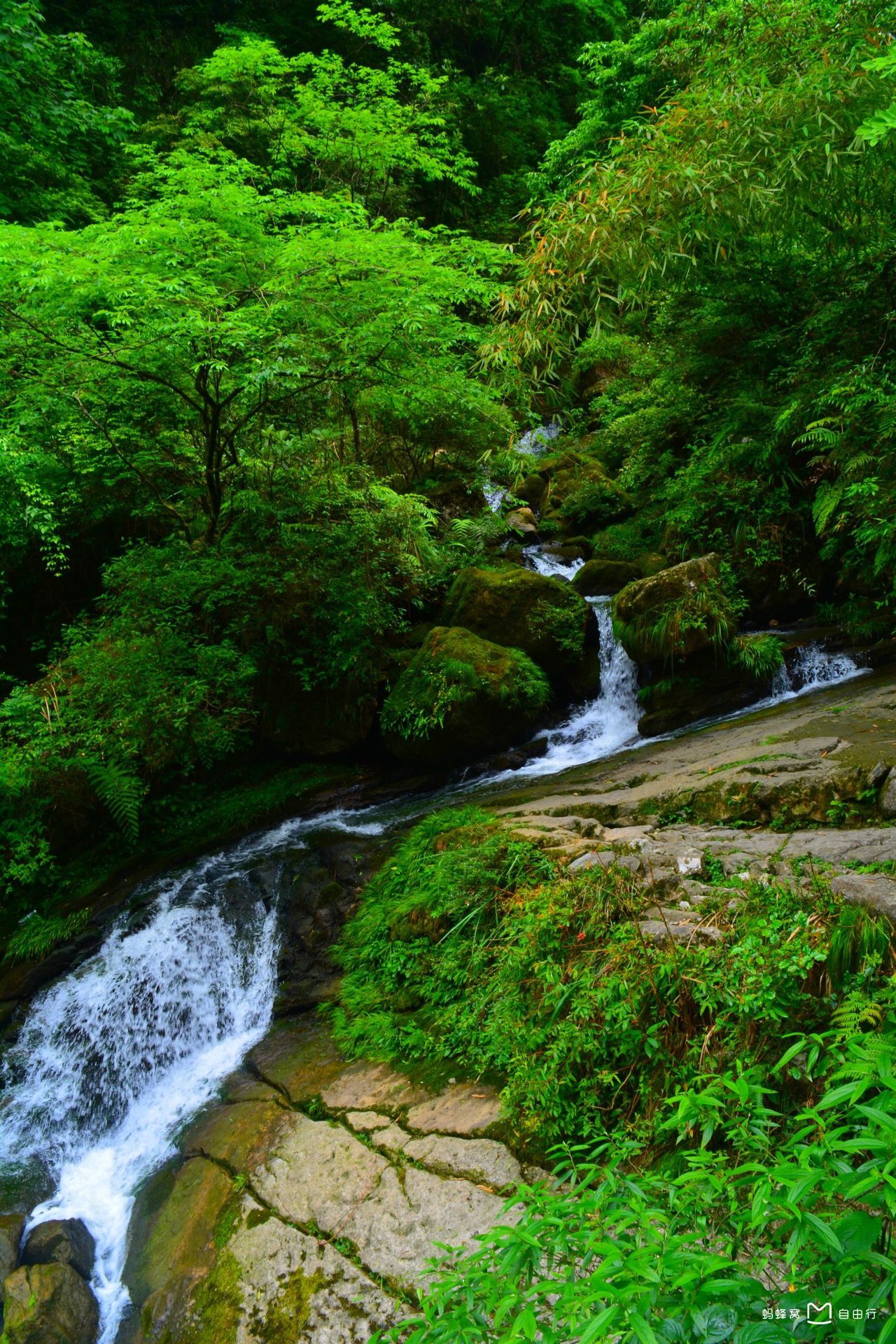 三峡竹海生态风景区