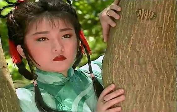 《刺马》是由鹿峰,张彻执导,姜大卫,李婉华,邵传勇等主演的武侠电视剧