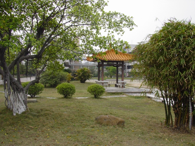 鹤山职业技术学校