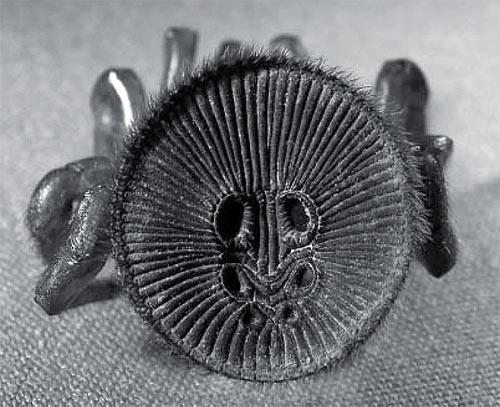  p>金钱活板门蛛也叫 a href="#" data-lemmaid="2417345">金钱活门蛛