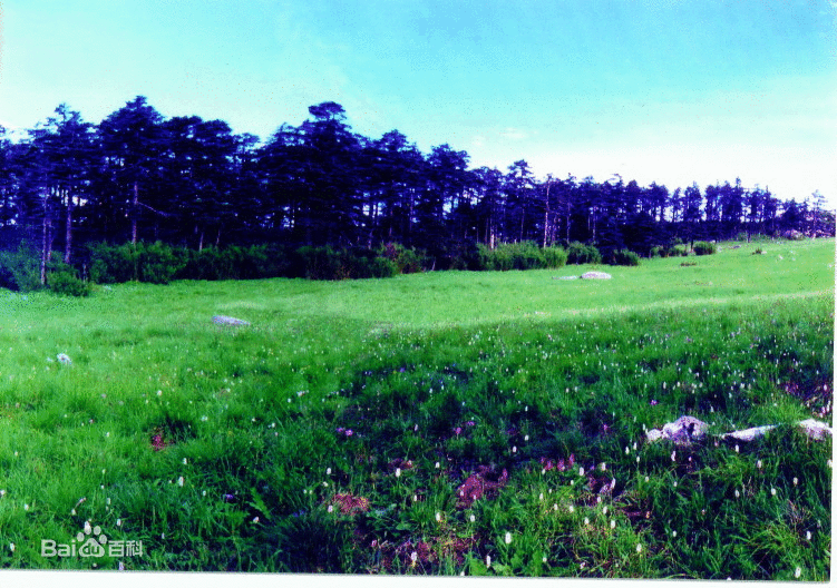 陕西长青国家级自然保护区