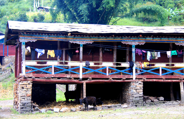  p>西藏自治区林芝市墨脱县加热萨乡辖行政村.