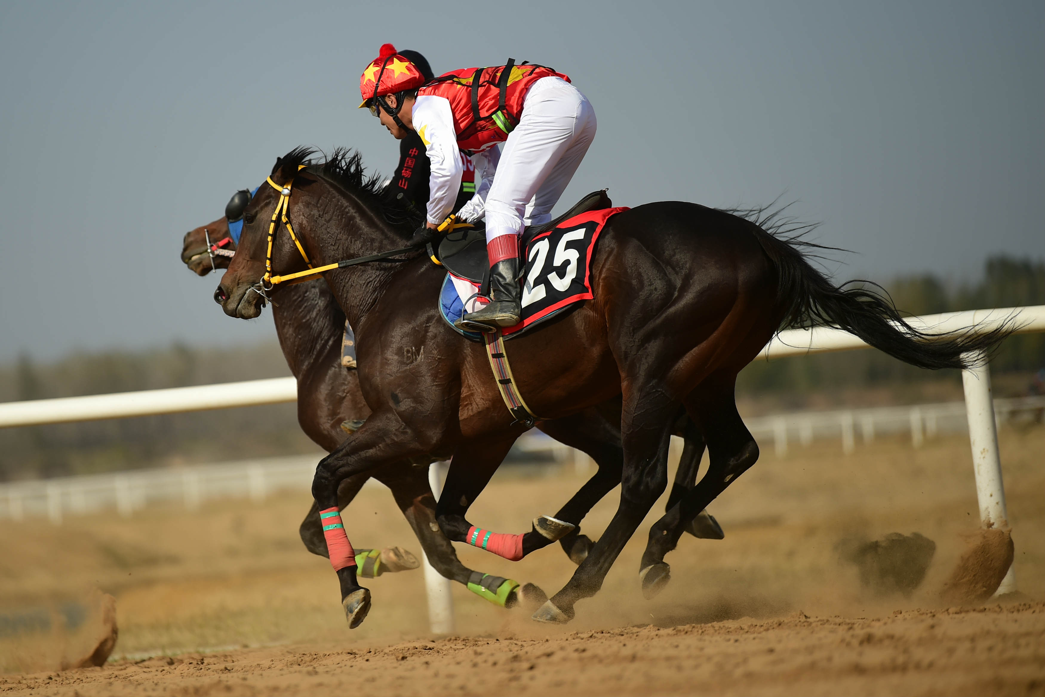 临沂市马术运动协会