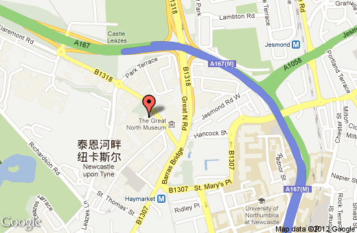 英国纽卡斯尔大学