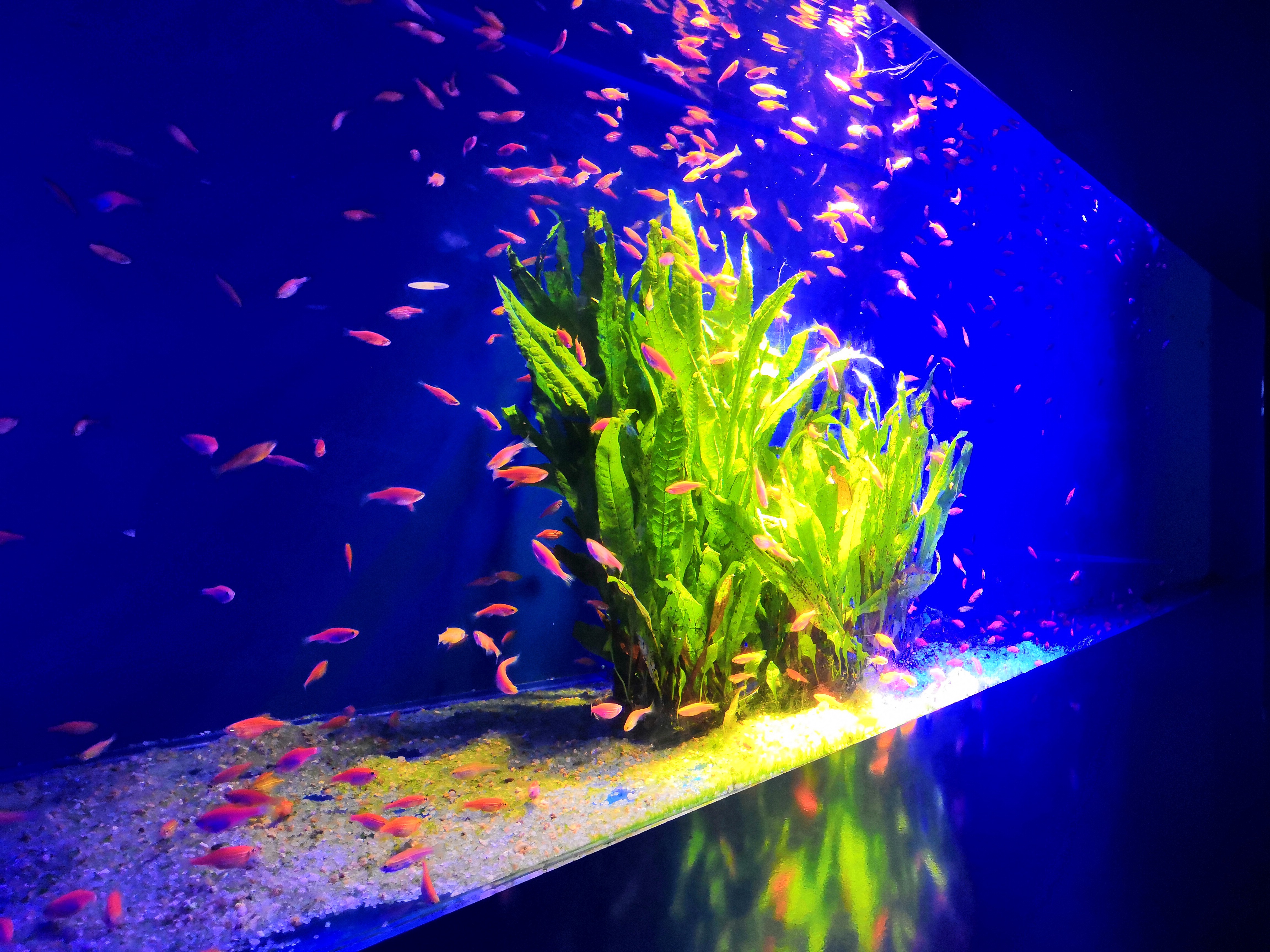 青岛市海底世界