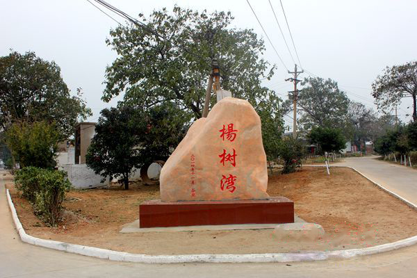 杨树湾村