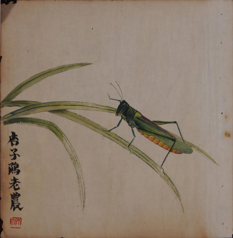 data-lemmaid="197394">中国画 /a>的一个独立画种,以草虫为主题,配以