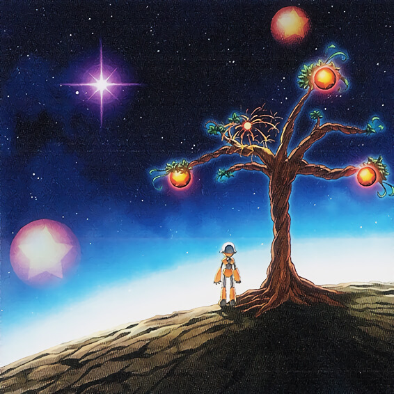 望星许愿