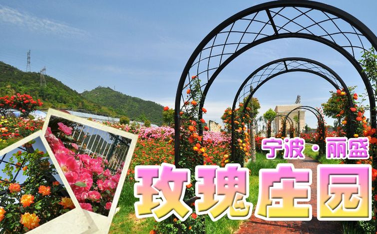  p>北仑丽盛玫瑰庄园地处北仑现代农业园区,老鹰山山麓,三面环山,茂林