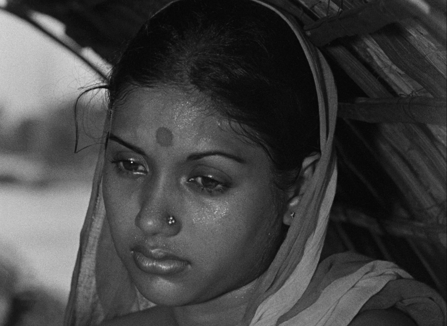    )是印度和孟加拉国合拍的电影