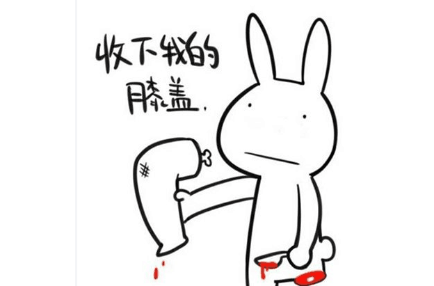  p>请收下我的膝盖,网络新语,"直到我膝盖中了一箭"的变体,和"直到我