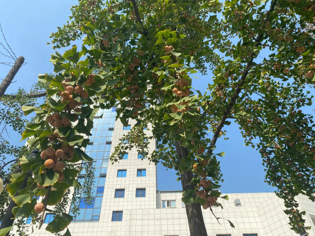 11年了，为什么我们还是对北影节抱有期待？_百科TA说