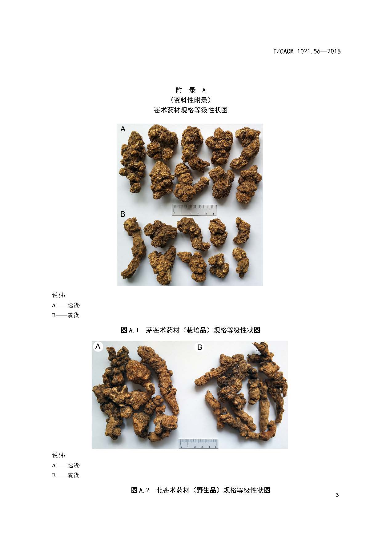 中药材商品规格等级—苍术