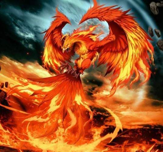 不死鸟（神话传说中的鸟类）_百度百科
