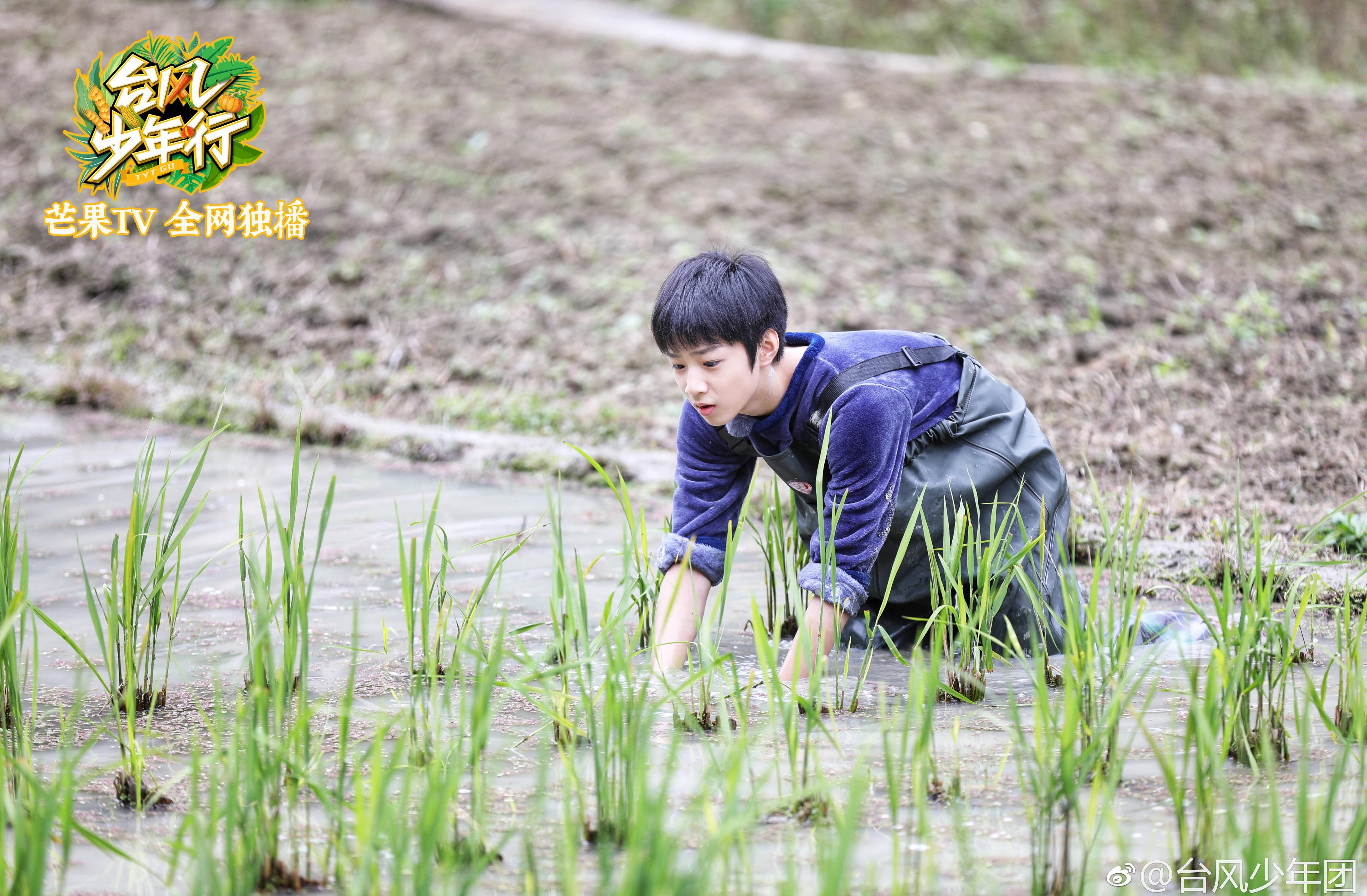 台风少年行