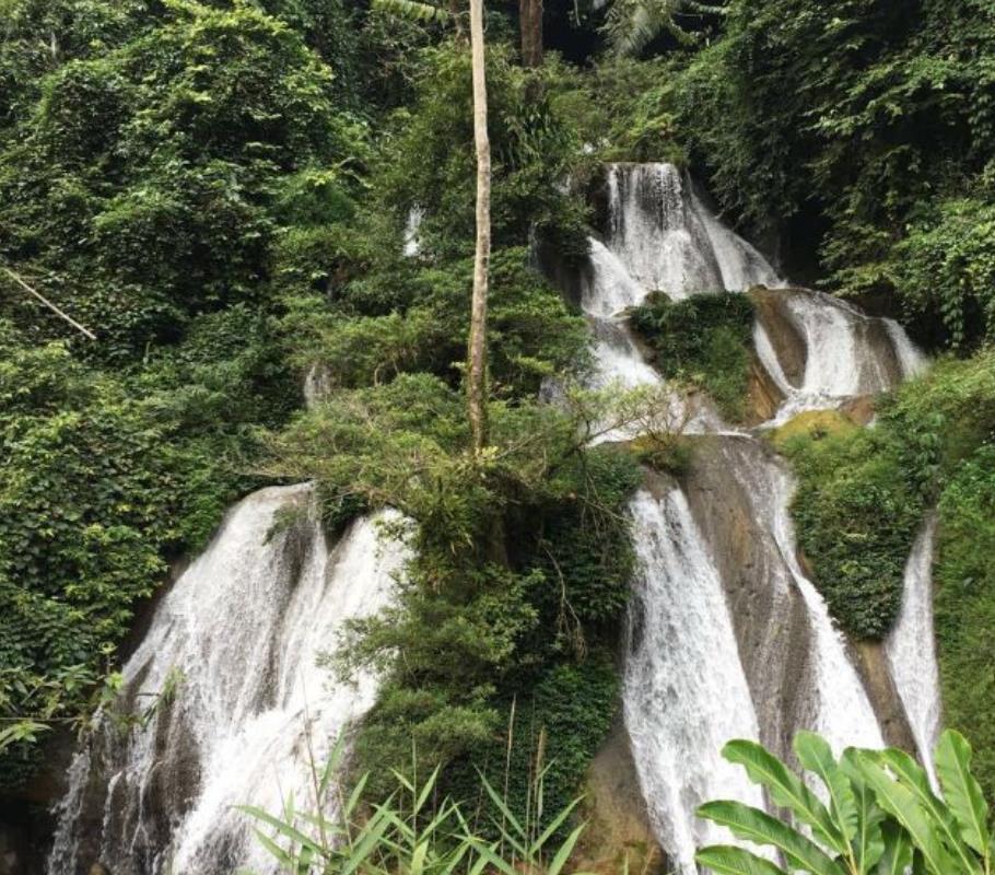 云南花鱼洞国家森林公园