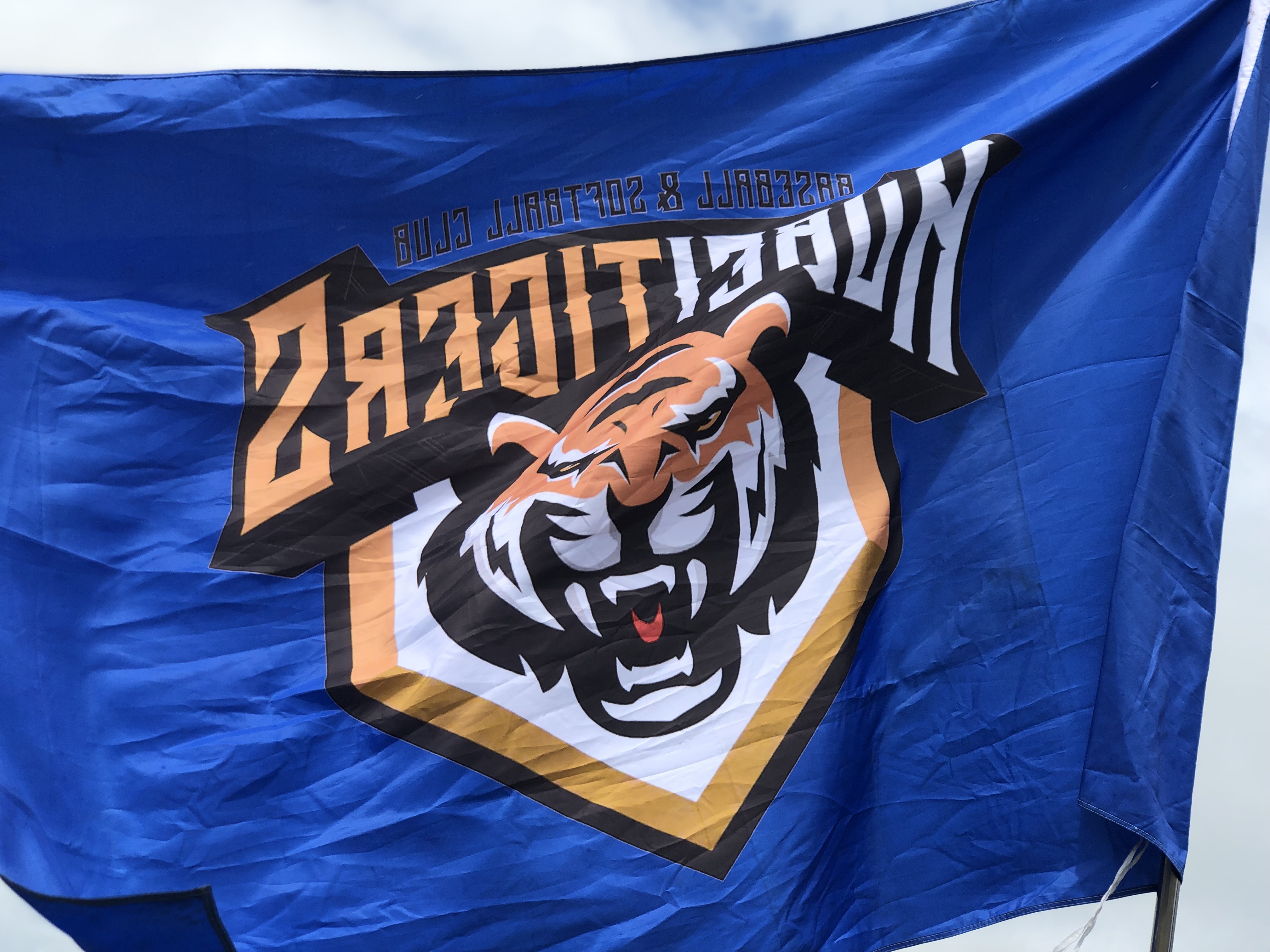 湖北鄂虎棒垒球俱乐部