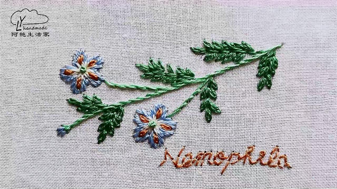 粉蝶花 百度百科