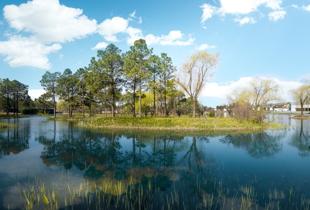 绿城乌镇雅园