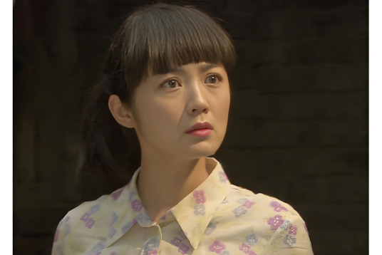 梅子（电视剧《养女》中的角色）_百度百科