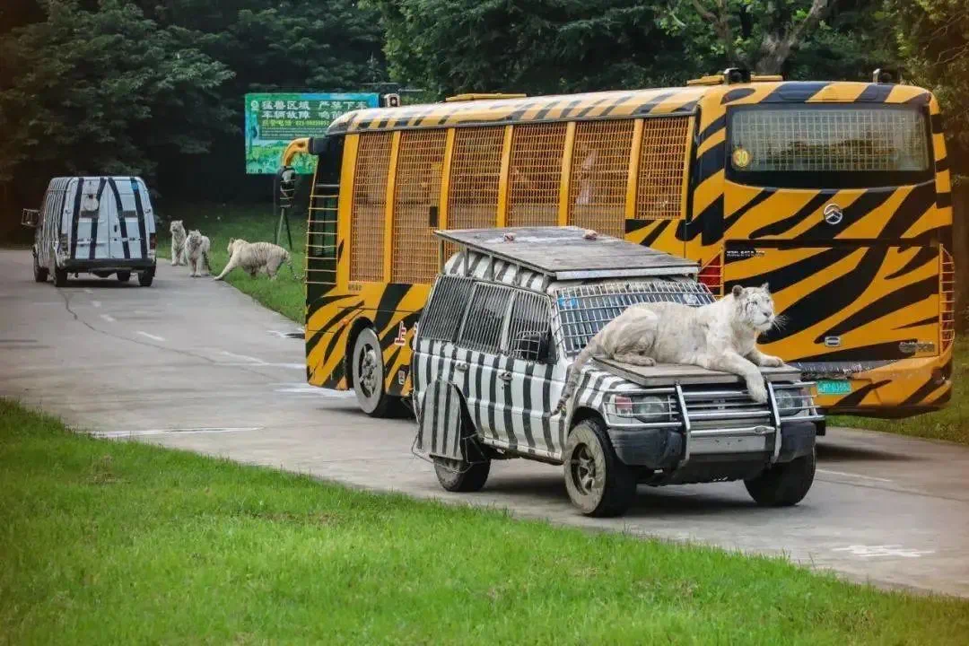 绍兴兰亭森林野生动物园