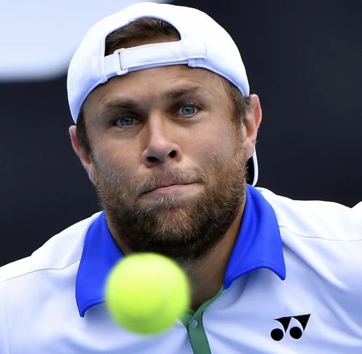 拉杜·阿尔伯特