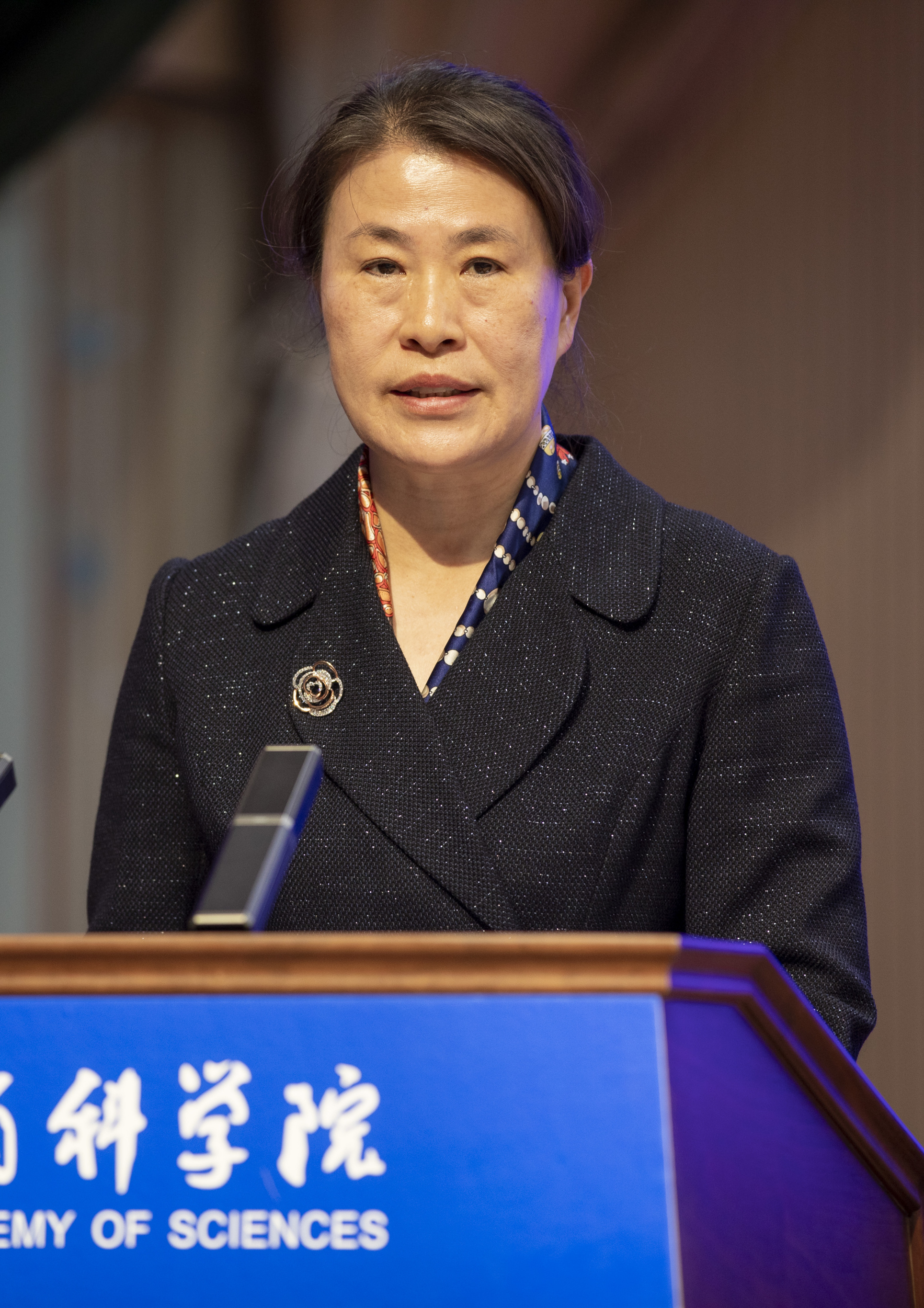 假电子回单刘雪梅 全网资源