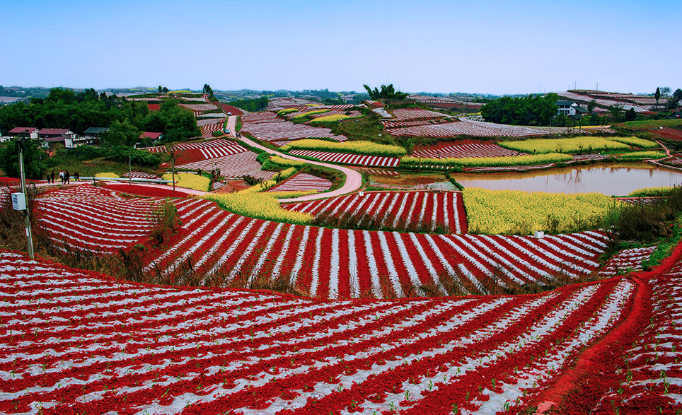  p data-id="gmws2thzq7">荣县乐德红土地是 a target="_blank" href=