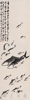 群鱼