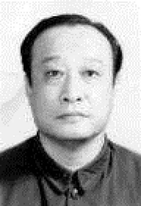 万迪基_百度百科