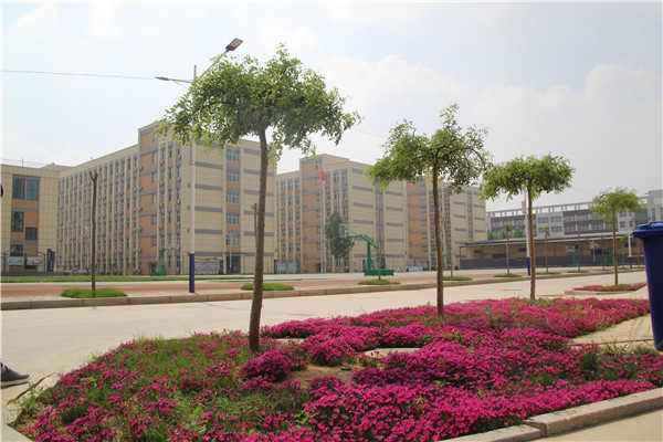  p data-id="gnbj6xpur1">邯郸经济技术开发区卓越中学(邯郸卓越中学)