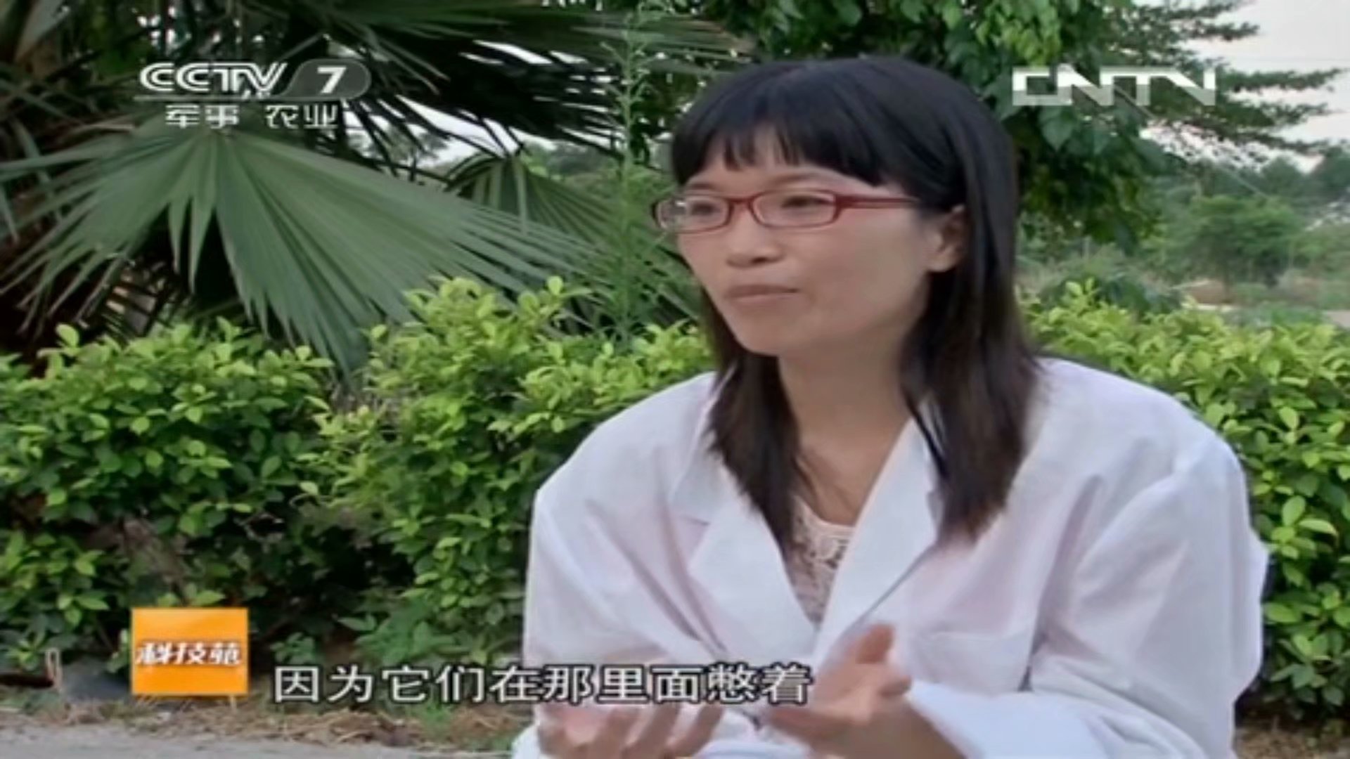  p data-id="gnbzgne6he">《科技苑》是原cctv7军事农业频道开办最早