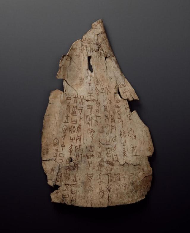 中国甲骨 殷墟甲骨 甲骨文 興隆 骨董 中国美術 中国甲骨 殷墟甲骨 甲骨文 興隆 骨董 中国美術 中国甲骨 殷墟