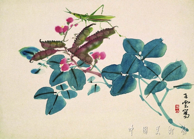 清王云豆荚蚂蚱图