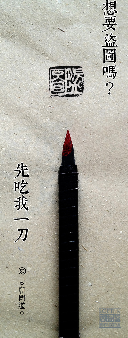 盗图