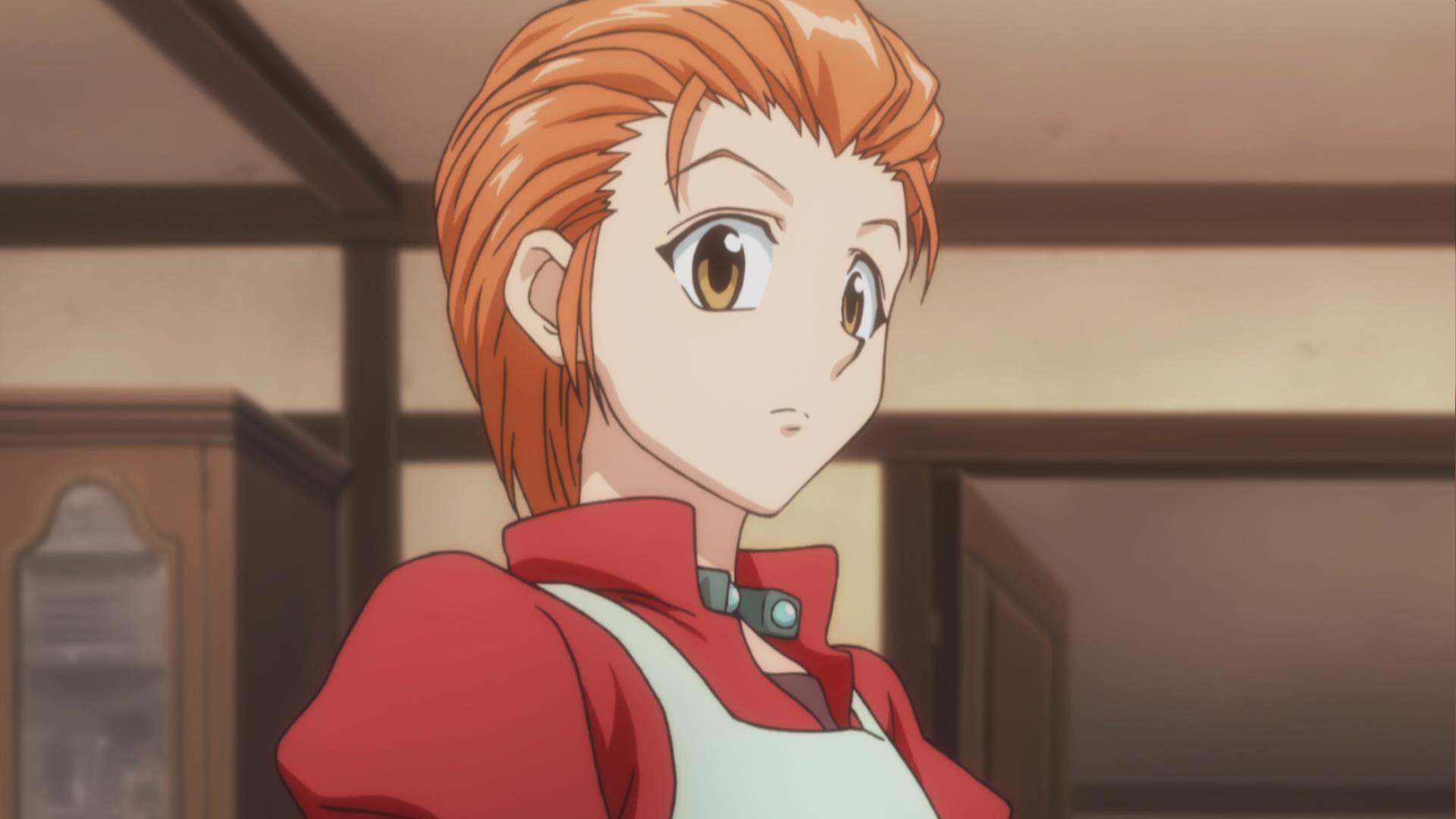 ">米特,日本漫画《 a target="_blank" href="/item/全职猎人/27763"